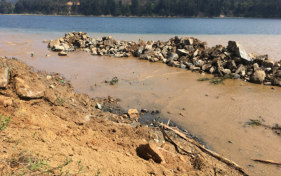 Humedal y estero Coliumo amenazado por nuevo proyecto de espacio público en Dichato
