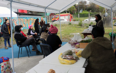 Se reactiva en Panguipulli un espacio para intercambio de alimentos sanos de campo