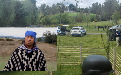 Detienen en Temuco a Machi de Huichahue Juan Queupumil