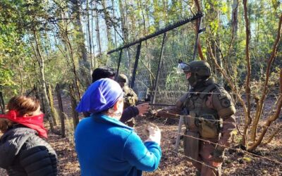 Comunidades de Pucón acusan destrucción de bosque nativo y espacios ceremoniales