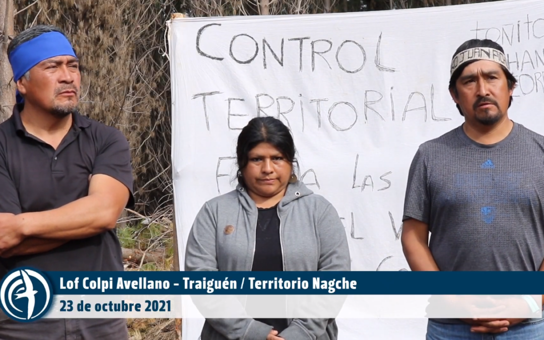 [Entrevista] Traiguén: Trawün de comunidades en resistencia y CAM en Lof Colpi Avellano