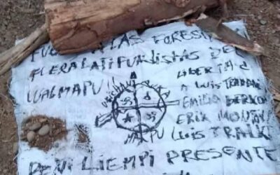 [Comunicado] Weichan Auka Mapu reivindica dos sabotajes a faenas de monocultivo forestal en Toltén y Carahue
