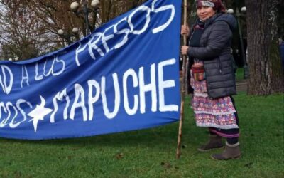 Werken Carolina Marileo consigue petitorio tras 31 días en huelga de hambre