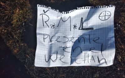 [Comunicado] RML Resistencia Mapuche Lafkenche se adjudica sabotajes «Con la contundencia de nuestras acciones reivindicamos a nuestros presos y caídos»