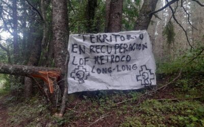 [Comunicado] Freire: Lof Ketxoco Long Long inicia recuperación de tierras