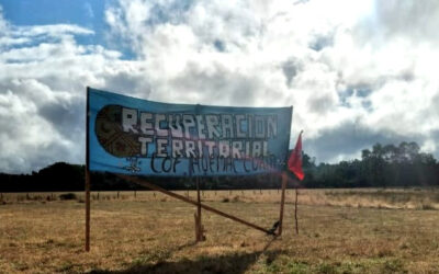 [Comunicado] Lof Huemal Curin de Máfil realiza Füta Trawün por la autonomía Mapuche