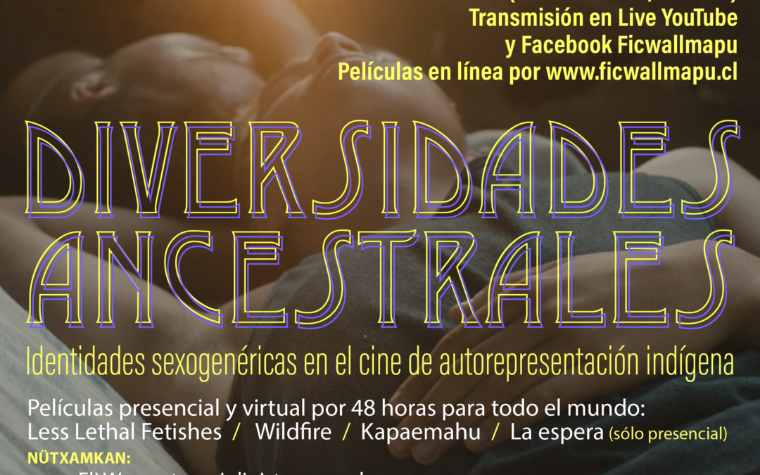 Ficwallmapu invita a Muestra de Diversidades Sexuales en línea y presencial en Temuco