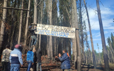 [Comunicado] Lumaco: Lof Madilhue y la CAM inician proceso de recuperación territorial a forestal Mininco