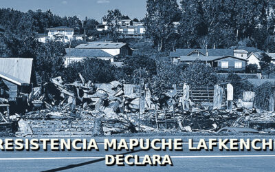[Comunicado] Resistencia Mapuche Lafkenche se adjudica acciones en Quidico