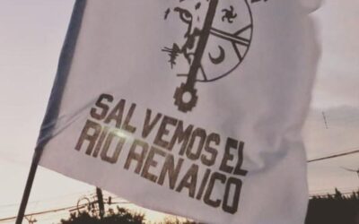 Salvemos el Río Renaico – Dos años del triunfo contra hidroeléctrica Aguas Vivas S.A.