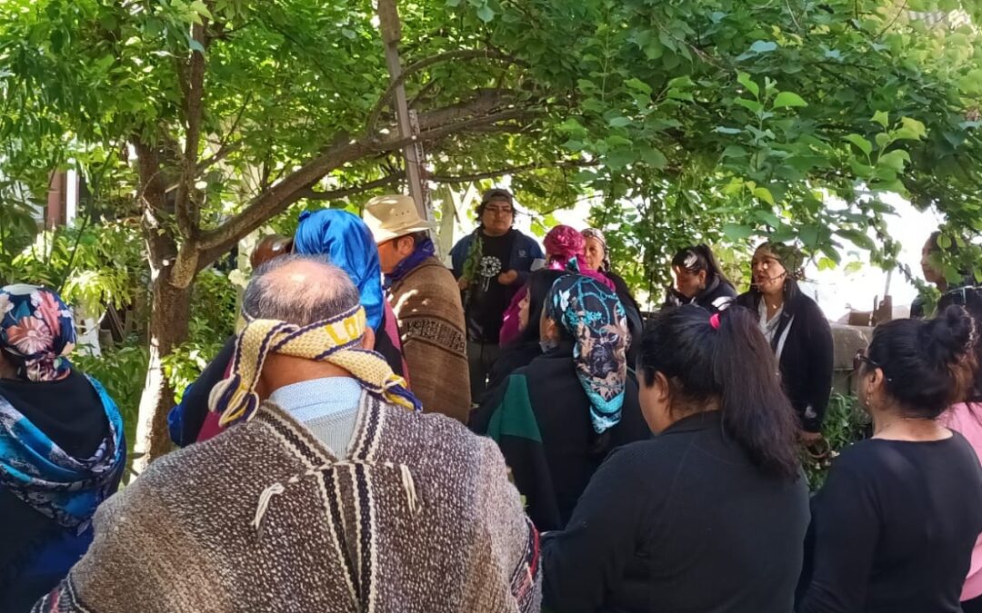 Cooperativa Mapuche Küme Mogen celebró sus 7 años de existencia