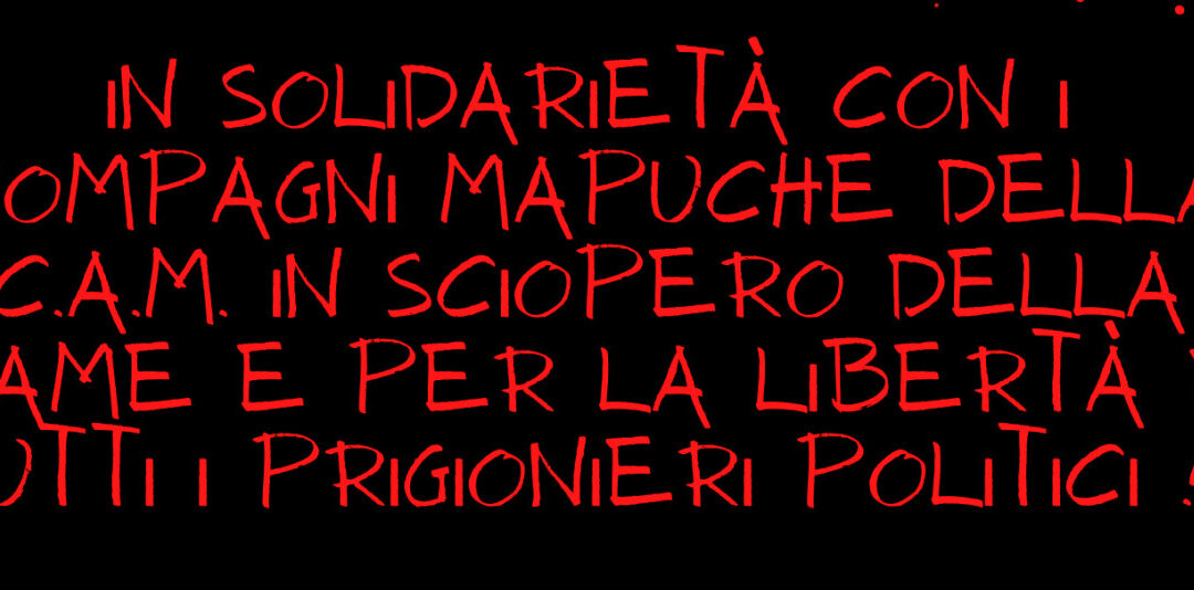 [Comunicado Italia] En solidaridad con los presos políticos Mapuche de la CAM en huelga de hambre