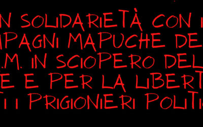 [Comunicado Italia] En solidaridad con los presos políticos Mapuche de la CAM en huelga de hambre