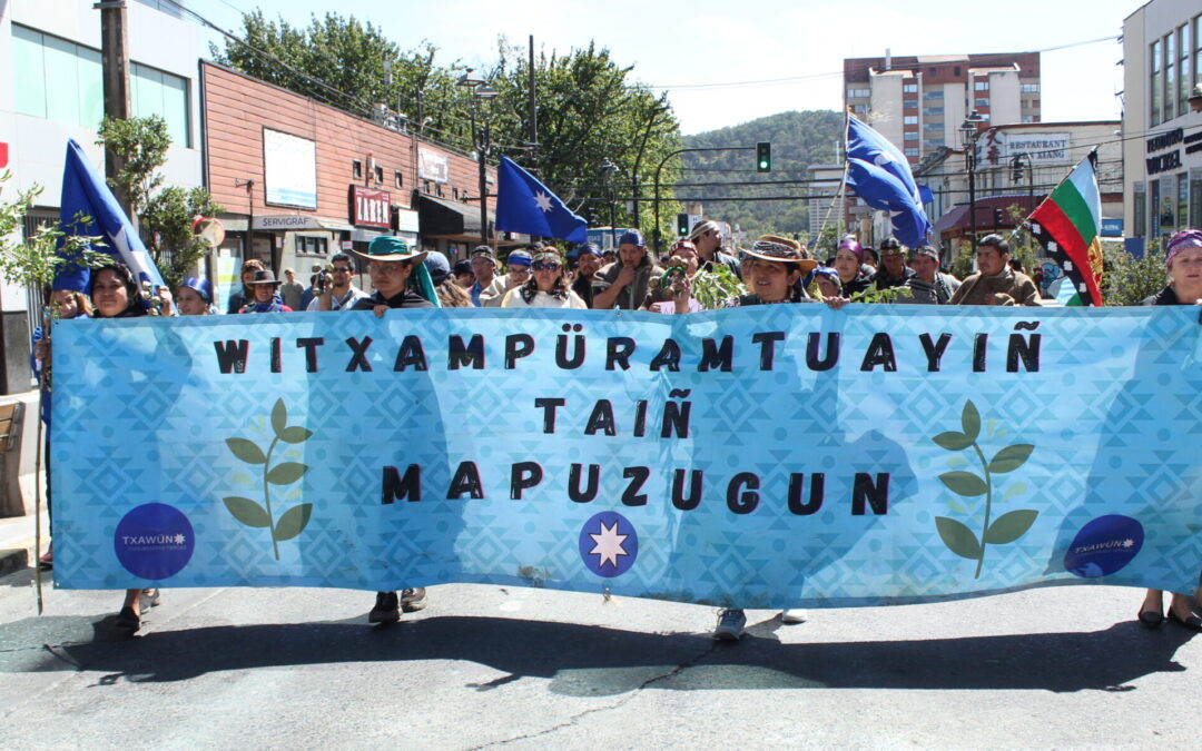 [Video] Comunidades y organizaciones Mapuche exigen respuestas en materia de Derechos Lingüisticos