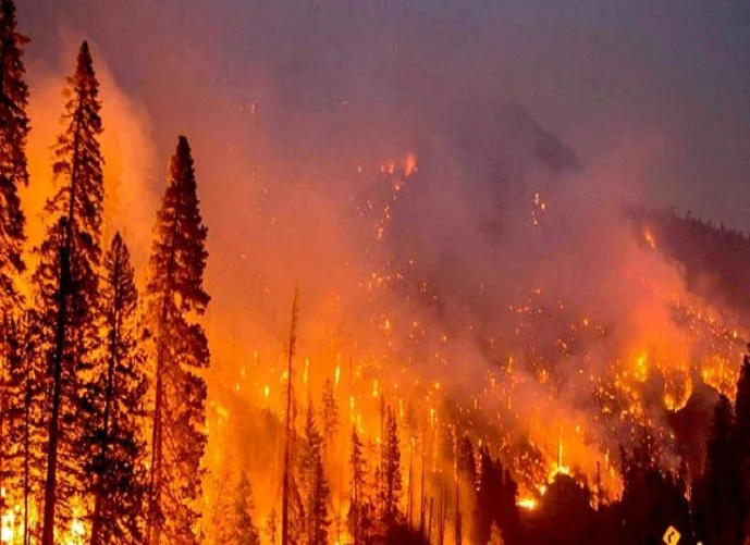[Comunicado] Pu Lof Mapuche de Galvarino «… visualizamos una gran responsabilidad de estos incendios en la industria forestal»