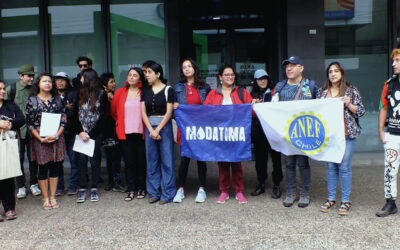 Temuco: Organizaciones sociales y medioambientales exigen fin a convenio municipal con CMPC y no más forestales