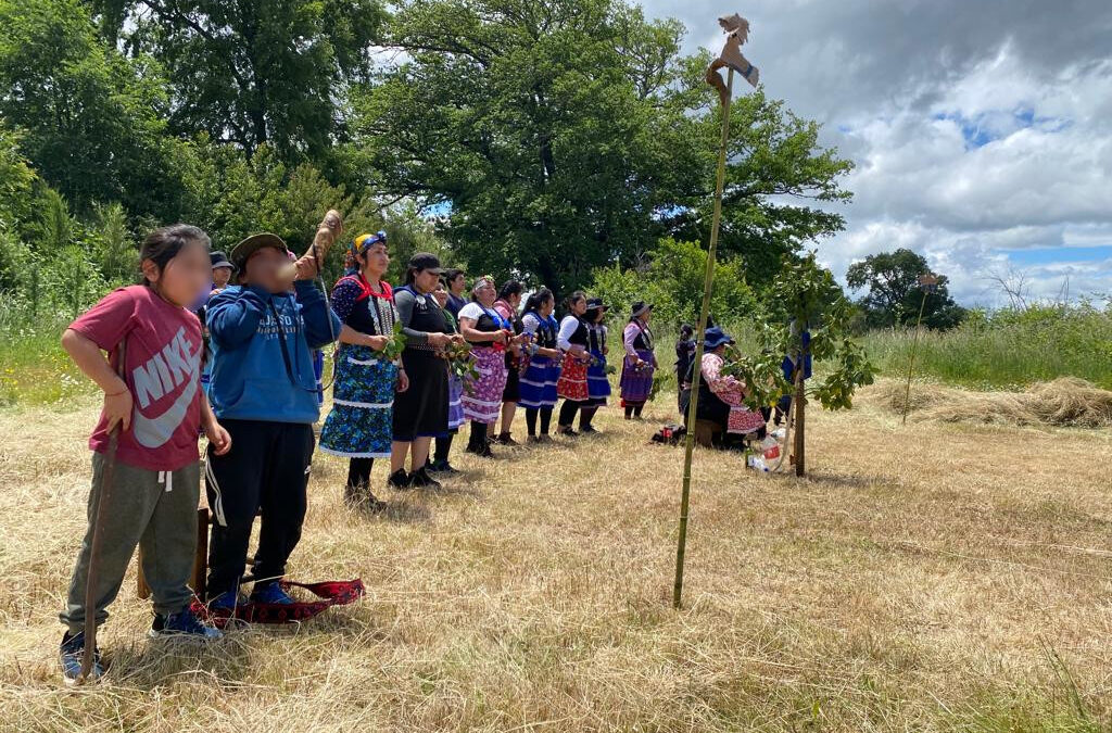 Comunicado Mujeres comunidades Mapuche de Malleco ante dichos de la Defensoría de la Niñez