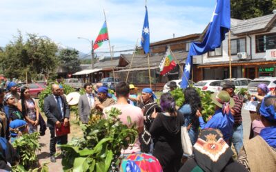 [Audio] En Pucón Inicia juicio contra el Lof Kelwe en recuperación territorial