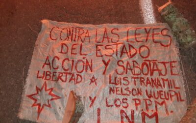Declaración conjunta de organizaciones Mapuche del weichan frente a la Ley Nain-Retamal / LNM – RMM – WAM – RML
