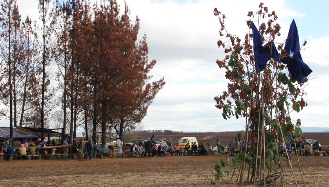 [Video] Primer Trawün por demanda de arbitraje ante la Haya, entre el Estado chileno y el pueblo nación Mapuche