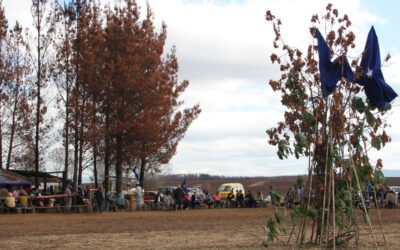 [Video] Primer Trawün por demanda de arbitraje ante la Haya, entre el Estado chileno y el pueblo nación Mapuche