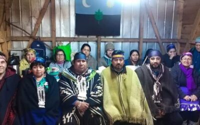 [Comunicado] Denuncian discriminación y violencia hacia sanador Mapuche Williche Machi en Hospital Intercultural