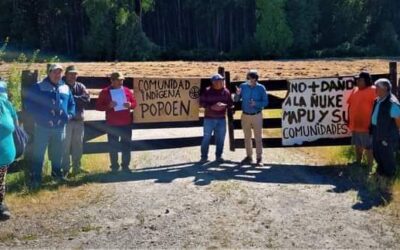 Comunidades Mapuche Williche en San Juan de la Costa denuncian: “Las forestales nos matan en vida”