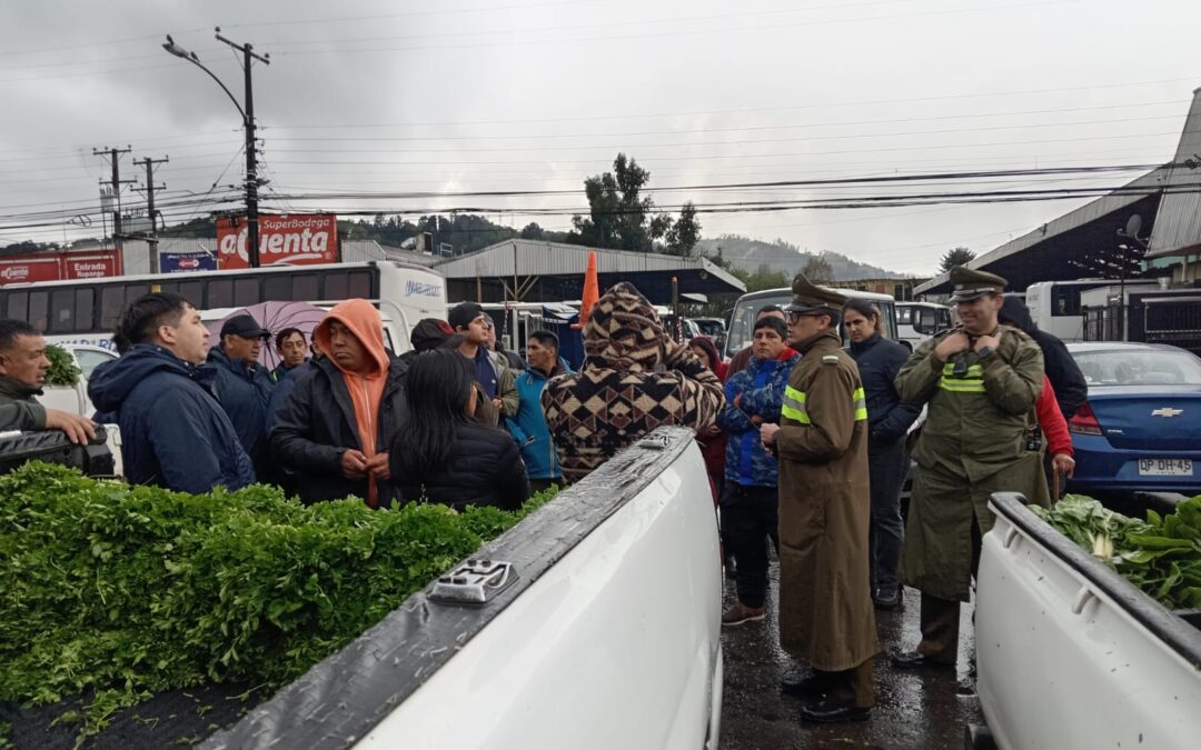 Municipio de Temuco amenaza con expulsar y efectúa decomisos a hortofruticultores locales del eje Balmaceda/Anibal Pinto en Temuco