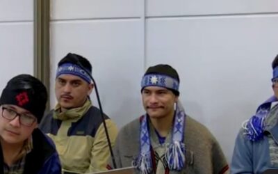 Denuncia Pública de Observadores de Derechos Humanos en juicio oral de presos políticos Mapuche CAM