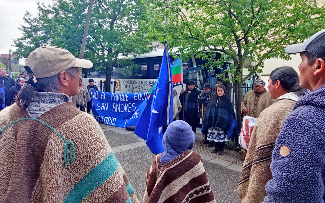 Comunidades mapuche de Collipulli presentan recurso de invalidación  contra el proyecto «Parque eólico San Andrés»