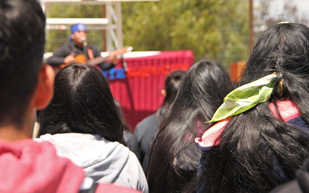 Liceo Guacolda de Cholchol conmemora el día del estudiante Mapuche en memoria de Alex Lemún