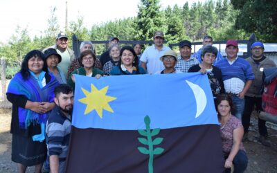 Comunidades Mapuche Williche en San Pablo paralizan indefinidamente faenas forestales exigiendo el respeto de sus derechos