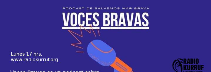 Escucha «Voces Bravas», podcast sobre el conflicto eólico en Mar Brava, Ancud Chiloé