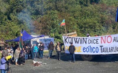 Comunidad mapuche Koiwin de Compu se manifestó contra proyecto eólico Tablaruca de la empresa Atlas