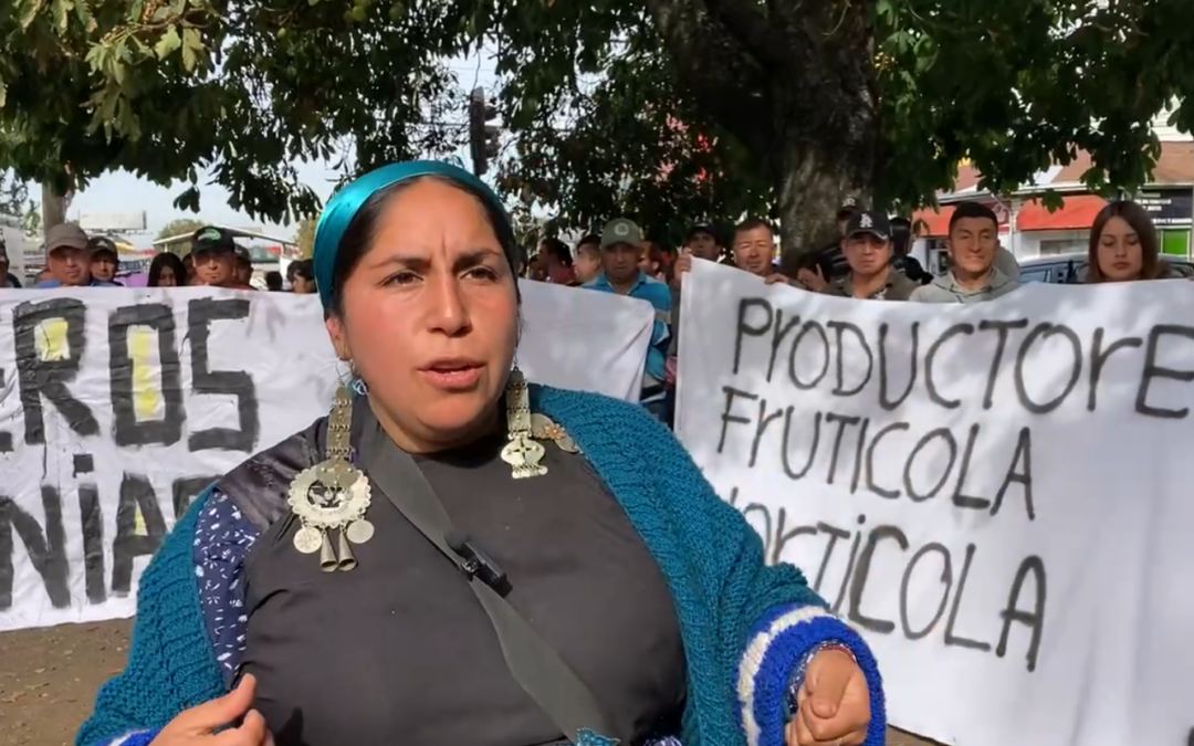 Hortofrutícultores Mapuche de Feria Pinto mantienen movilizaciones