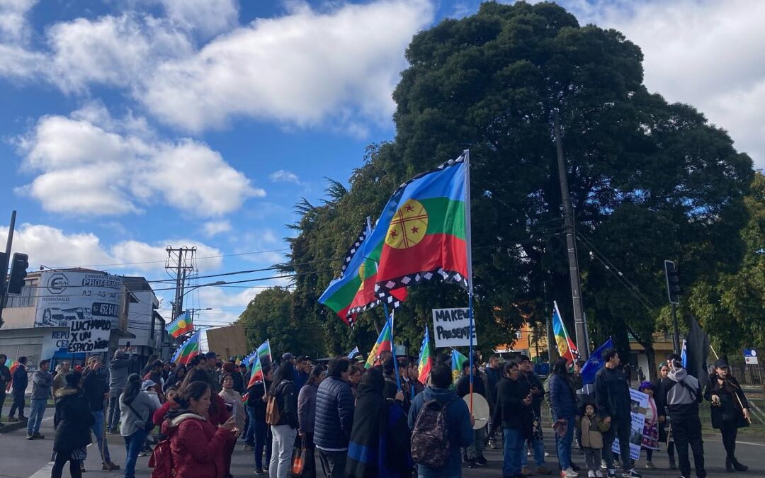 Hortofrutícolas Mapuche denuncian hostigamiento por parte del municipio de Temuco