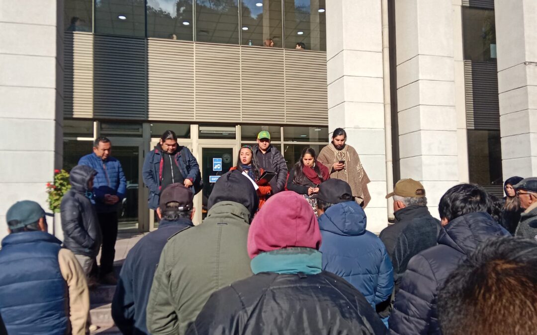 Productores/as Hortofrutícolas Mapuche presentan recurso de protección contra municipio de Temuco