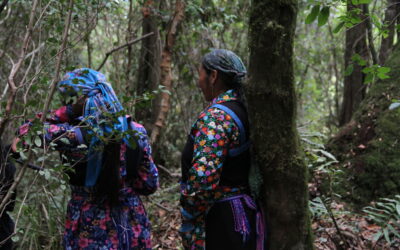 La lucha de la Comunidad Autónoma Likankura en la voz de pu Werken Gricel y Nora Ñancul