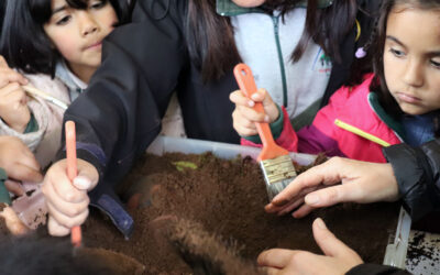 Trabajo desde la Herencia Cultural Colectiva. Niños y niñas de Challupen y Pukura visitan hallazgos arqueológicos de su territorio en museo de Valdivia