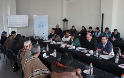 Comunidades Mapuche de Temuko plantean Plan Regulador Comunal Intercultural para detener avance sobre títulos de merced