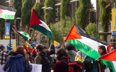 Temuco: Asamblea abierta y banderazo levantan la solidaridad contra el genocidio en Palestina