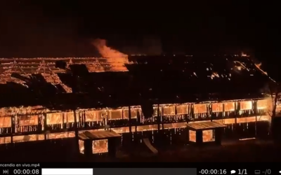 [Comunicado] Incendio consumió el Monumento Histórico Nacional Galpón Industrial IMASA, en Neltume, comuna de Panguipulli, Región de Los Ríos