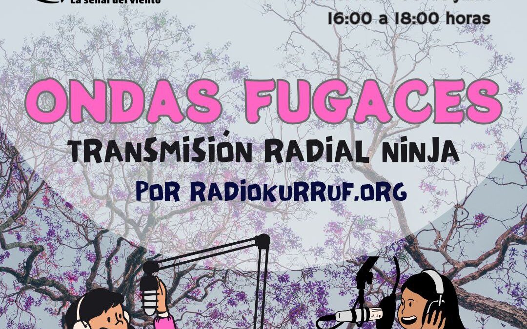 Escucha Programa Radial: Ondas Fugaces, transmisión ninja