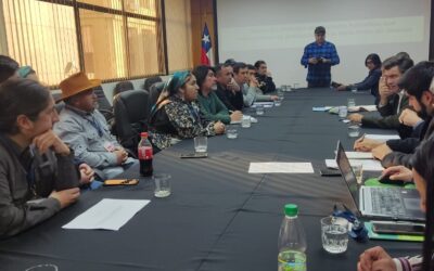 Productores Mapuche de La Araucanía se reúnen con ministro de agricultura en Santiago