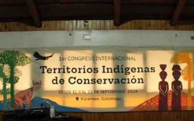 1er Congreso Internacional Territorios Indígenas de Conservación. «Estamos planteando una conservación bajo la gobernanza propia mapuche y, en este caso, indígena»