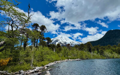 [Audios] Territorio Mapuche de Kurarewe logra histórico convenio para la gobernanza y gestión del parque nacional Villarrica, sector Puesco Lanin