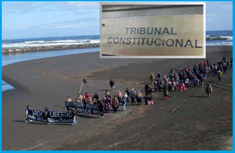 Terminó la espera: Tribunal Constitucional declara inconstitucional indicación contra Ley Lafkenche y  protege derechos indígenas