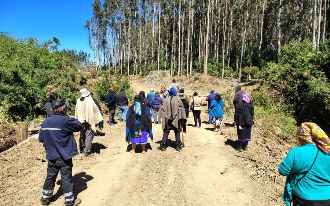 [Comunicado] Comunidades de Quiapo  exigen que forestal Arauco cese trabajos en espacio sagrado Txen Txen Diñihuenu