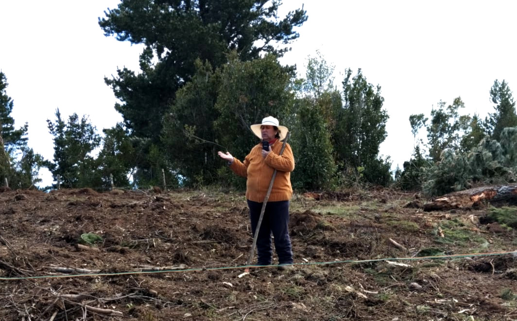 Abuela Mapuche de 70 años está encarcelada en Temuco por supuesto robo de madera