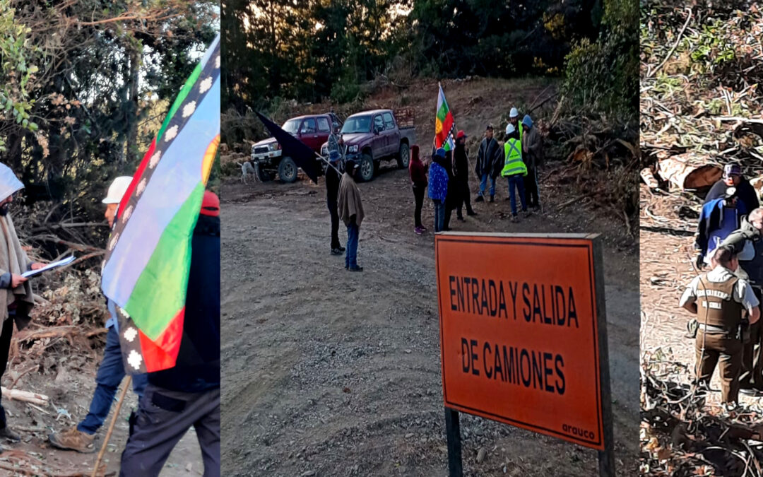 [Declaración + nota] Comunidad Mapuche paraliza faena de Forestal Arauco en defensa de espacio ceremonial Treng Treng Diñihuenu